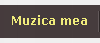 Muzica mea